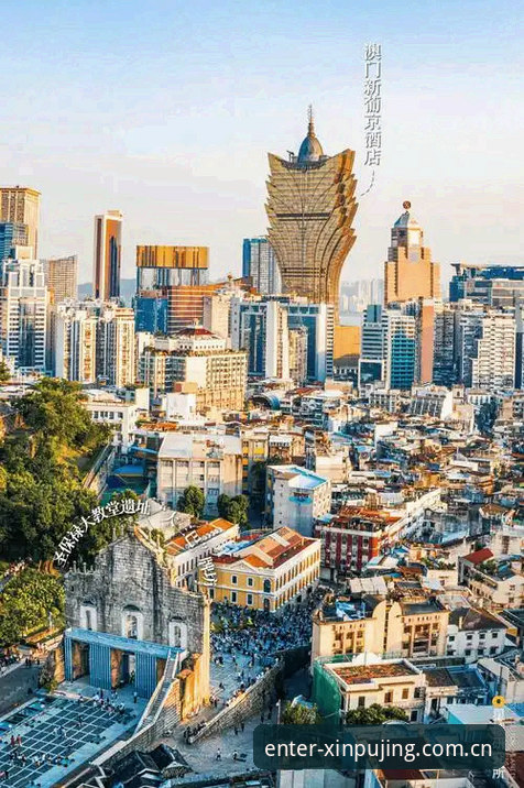 新普京官网下载评测 新普京娱乐平台最新动态:官网下载评测完整指南,探索移动端娱乐新维度